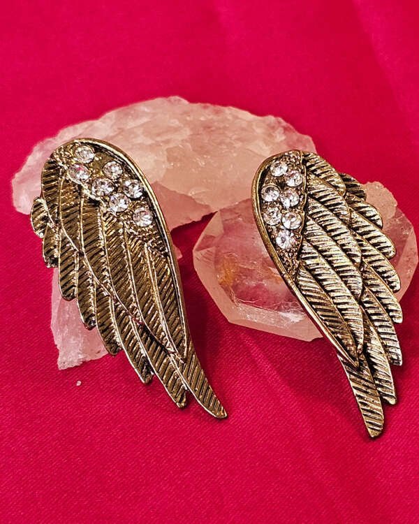 ANGEL WINGS