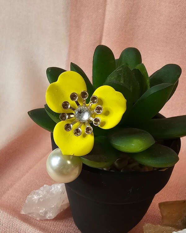 PANSY - Image 3